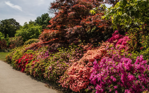 1194899 (a): :2560x1600